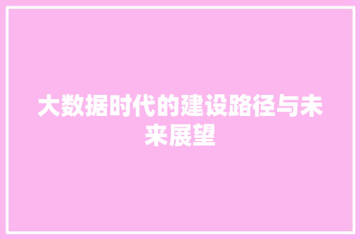大数据时代的建设路径与未来展望