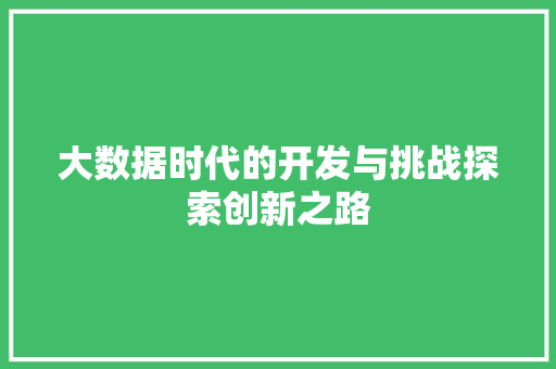 大数据时代的开发与挑战探索创新之路