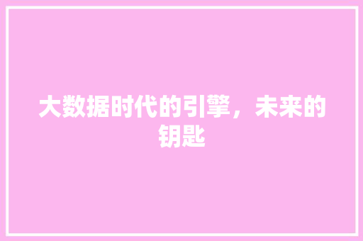 大数据时代的引擎，未来的钥匙