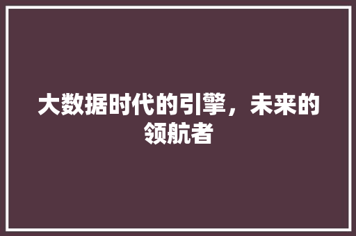 大数据时代的引擎，未来的领航者