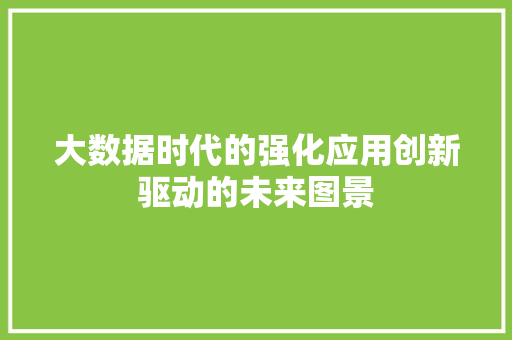 大数据时代的强化应用创新驱动的未来图景