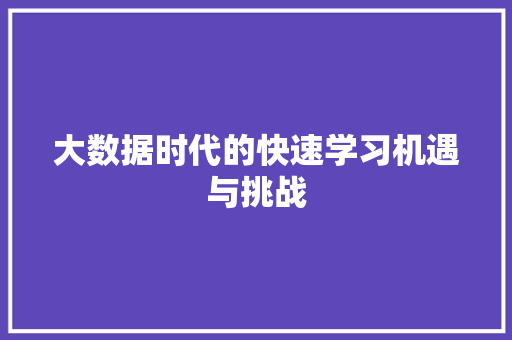 大数据时代的快速学习机遇与挑战