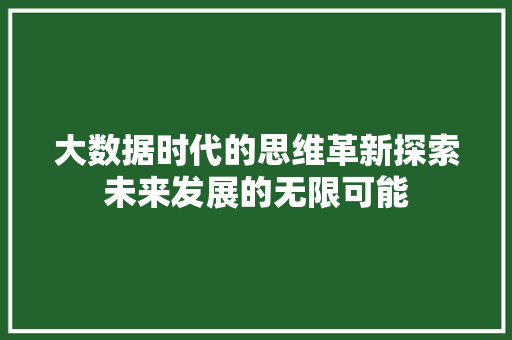 大数据时代的思维革新探索未来发展的无限可能
