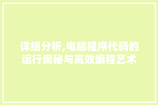 详细分析,电脑程序代码的运行奥秘与高效编程艺术