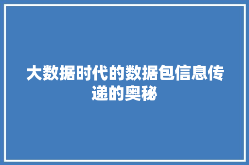 大数据时代的数据包信息传递的奥秘
