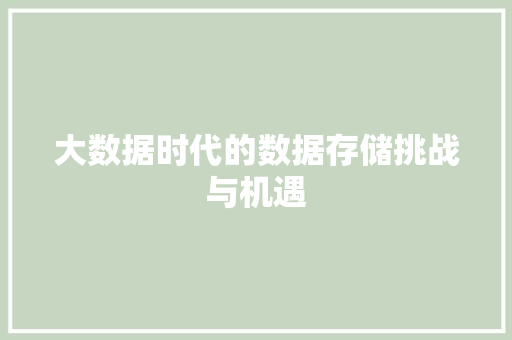 大数据时代的数据存储挑战与机遇
