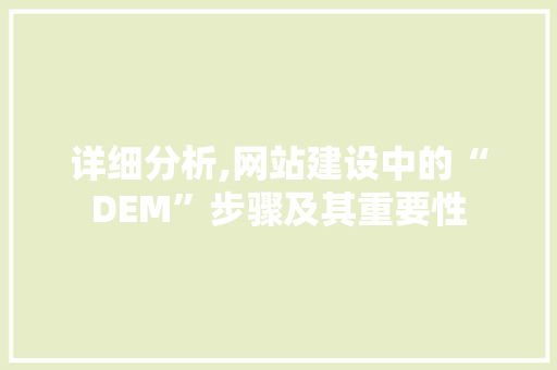 详细分析,网站建设中的“DEM”步骤及其重要性