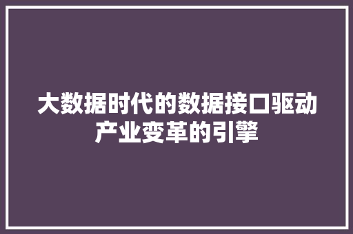 大数据时代的数据接口驱动产业变革的引擎