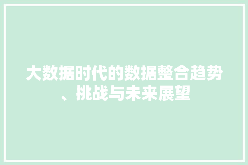 大数据时代的数据整合趋势、挑战与未来展望