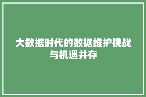 大数据时代的数据维护挑战与机遇并存