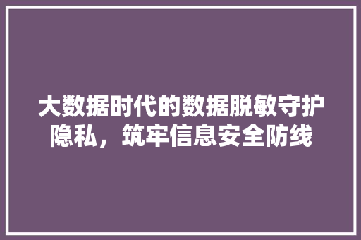 大数据时代的数据脱敏守护隐私，筑牢信息安全防线