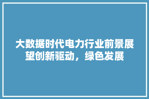 大数据时代电力行业前景展望创新驱动，绿色发展