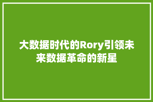 大数据时代的Rory引领未来数据革命的新星