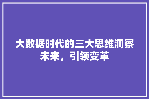 大数据时代的三大思维洞察未来，引领变革