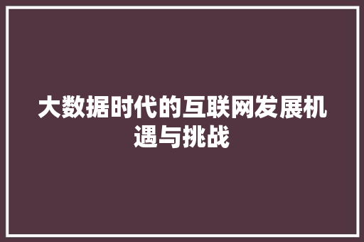 大数据时代的互联网发展机遇与挑战