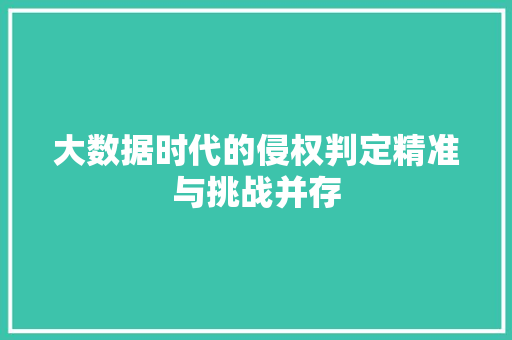 大数据时代的侵权判定精准与挑战并存