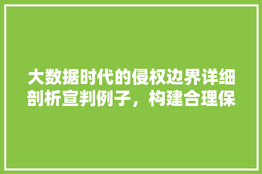 大数据时代的侵权边界详细剖析宣判例子，构建合理保护机制