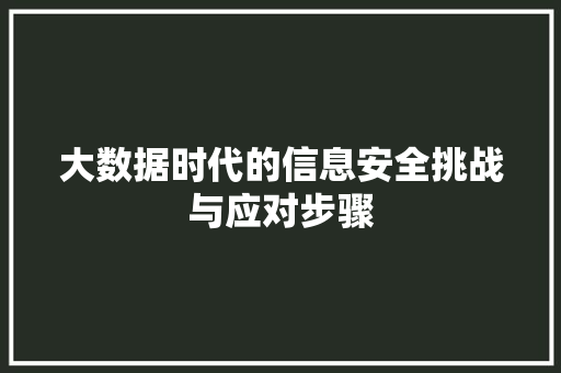 大数据时代的信息安全挑战与应对步骤