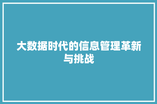 大数据时代的信息管理革新与挑战
