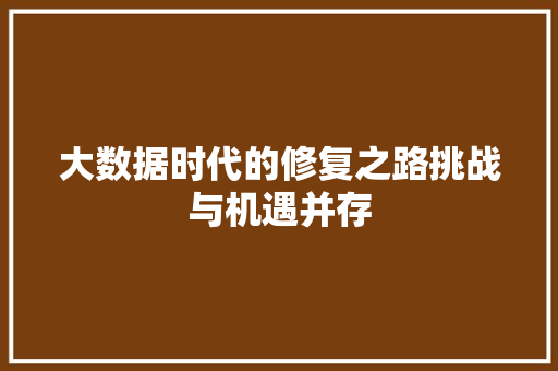 大数据时代的修复之路挑战与机遇并存