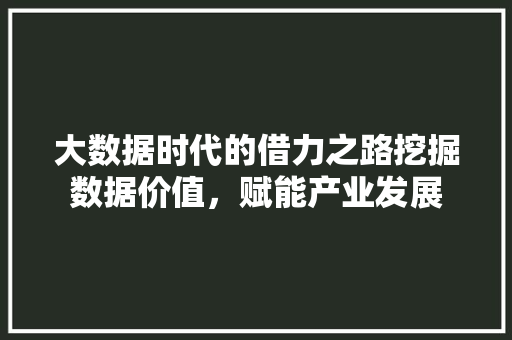 大数据时代的借力之路挖掘数据价值，赋能产业发展
