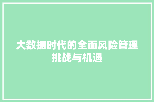 大数据时代的全面风险管理挑战与机遇