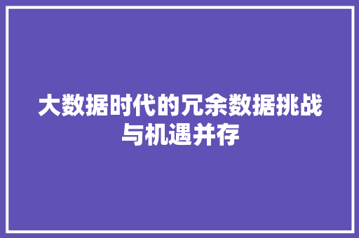 大数据时代的冗余数据挑战与机遇并存