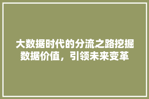 大数据时代的分流之路挖掘数据价值，引领未来变革