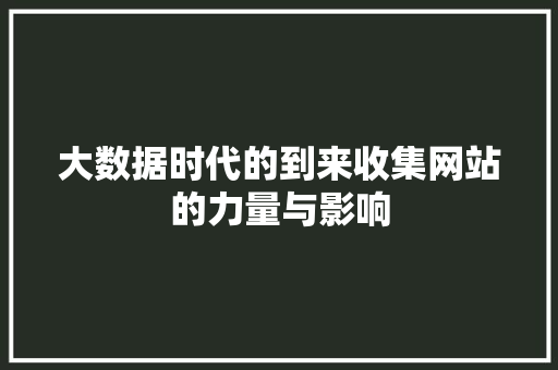大数据时代的到来收集网站的力量与影响