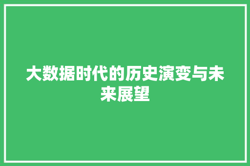 大数据时代的历史演变与未来展望