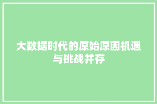 大数据时代的原始原因机遇与挑战并存
