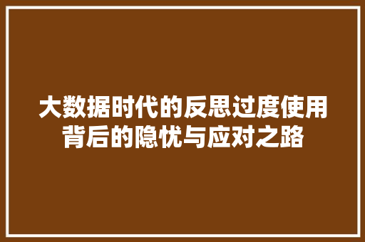 大数据时代的反思过度使用背后的隐忧与应对之路