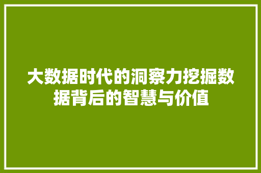 大数据时代的洞察力挖掘数据背后的智慧与价值