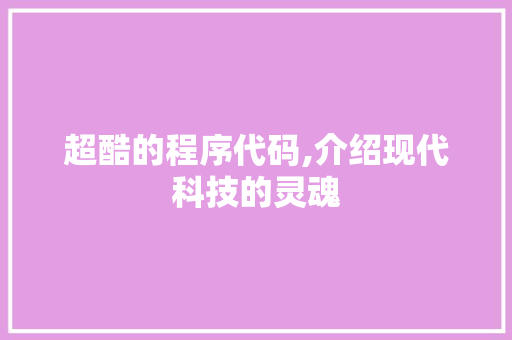 超酷的程序代码,介绍现代科技的灵魂 项目报告