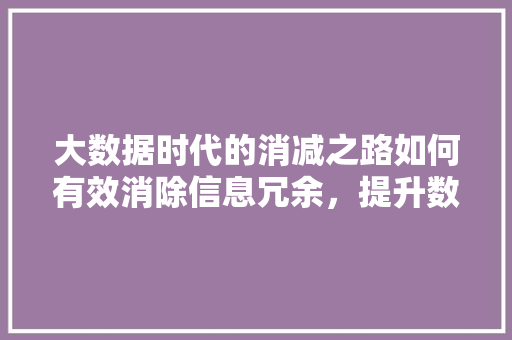 大数据时代的消减之路如何有效消除信息冗余，提升数据价值