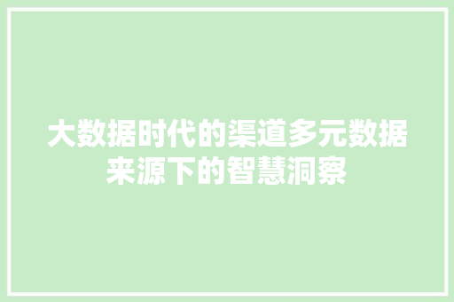 大数据时代的渠道多元数据来源下的智慧洞察