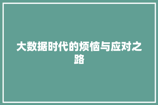 大数据时代的烦恼与应对之路