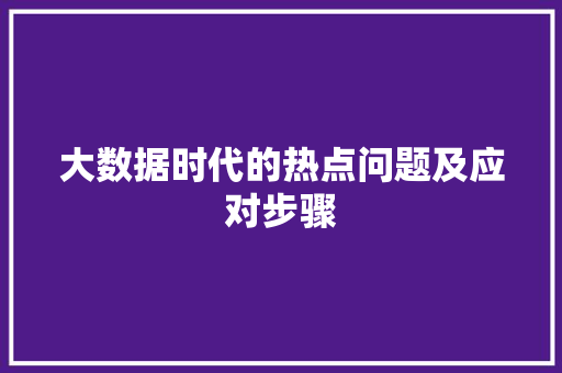 大数据时代的热点问题及应对步骤