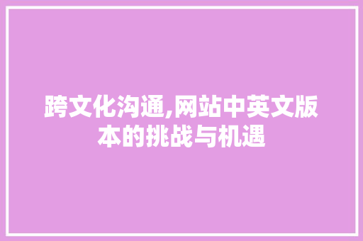 跨文化沟通,网站中英文版本的挑战与机遇