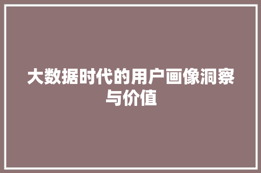 大数据时代的用户画像洞察与价值