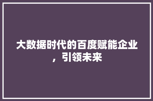大数据时代的百度赋能企业，引领未来