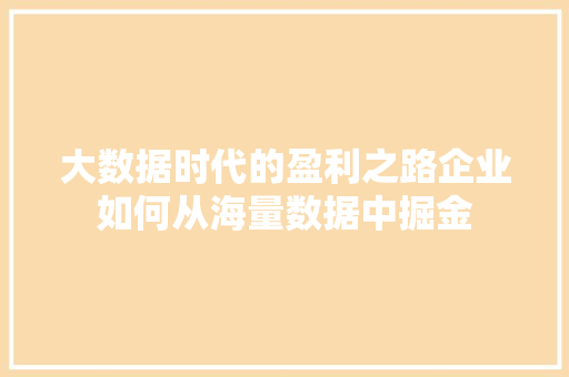大数据时代的盈利之路企业如何从海量数据中掘金