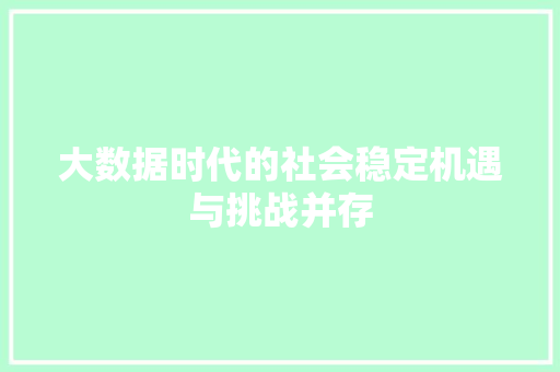 大数据时代的社会稳定机遇与挑战并存