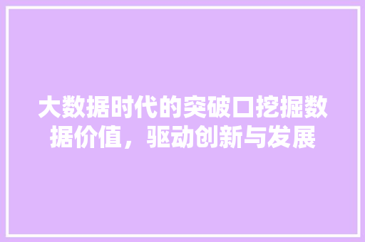 大数据时代的突破口挖掘数据价值，驱动创新与发展