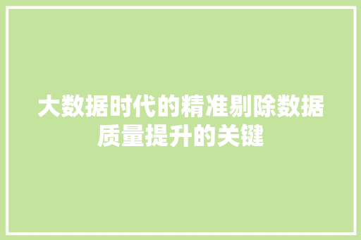 大数据时代的精准剔除数据质量提升的关键