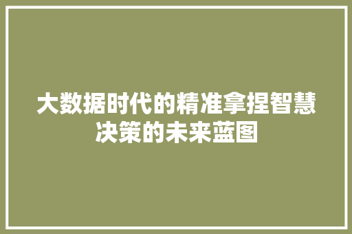 大数据时代的精准拿捏智慧决策的未来蓝图