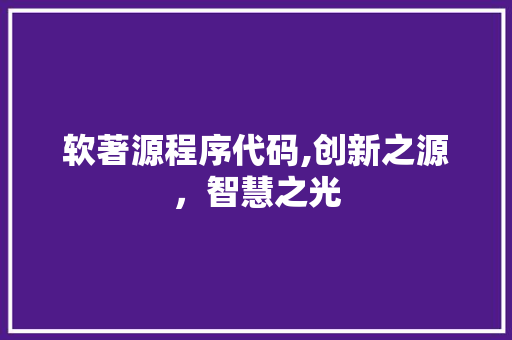 软著源程序代码,创新之源，智慧之光