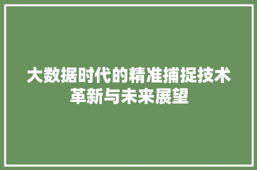 大数据时代的精准捕捉技术革新与未来展望