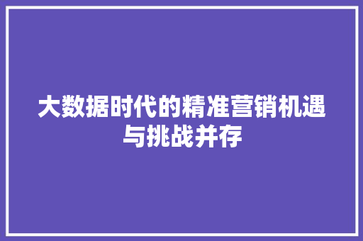 大数据时代的精准营销机遇与挑战并存