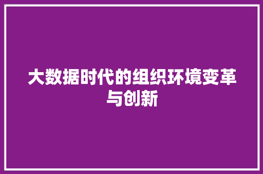 大数据时代的组织环境变革与创新